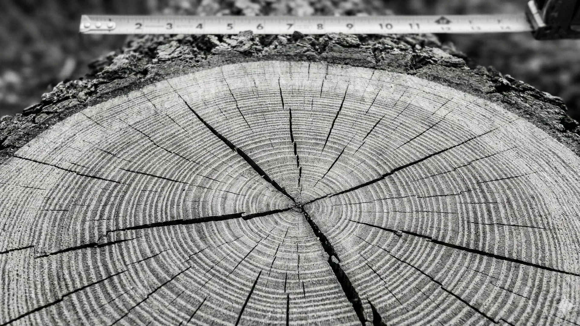 The Hidden Geometry of Complex Networks: Why Hyperbolic Space Matters